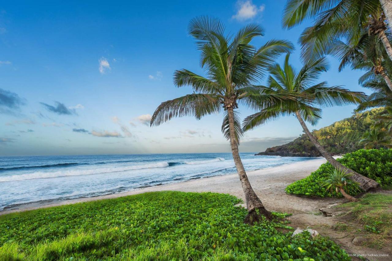 T2 Cosy A 100M De La Plage, Saint-Pierre, Luma Appart Екстер'єр фото